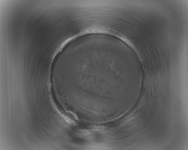 X0000066000438200603061327