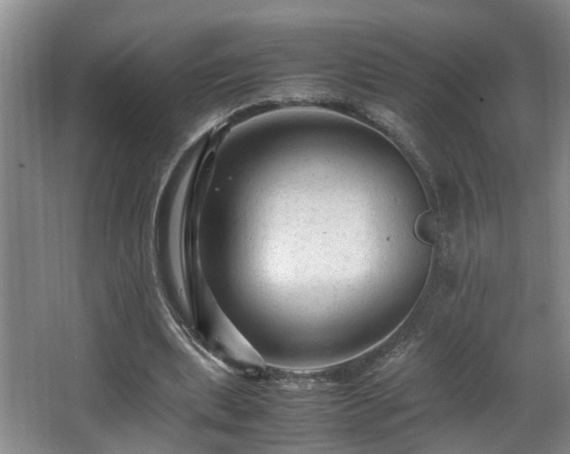 X0000066000439200603061327