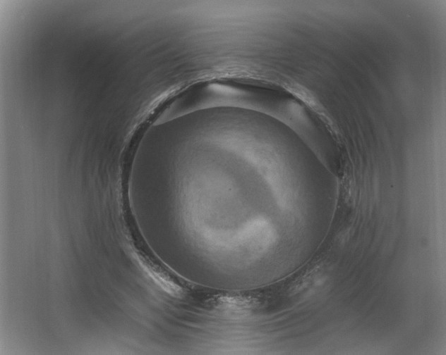 X0000066000442200603061327