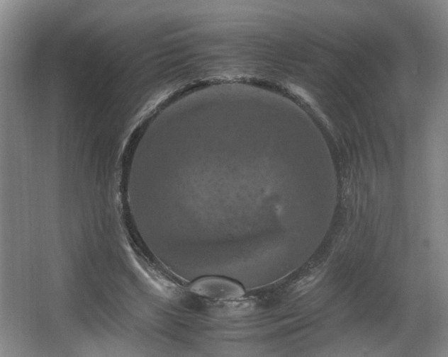 X0000066000443200603061327