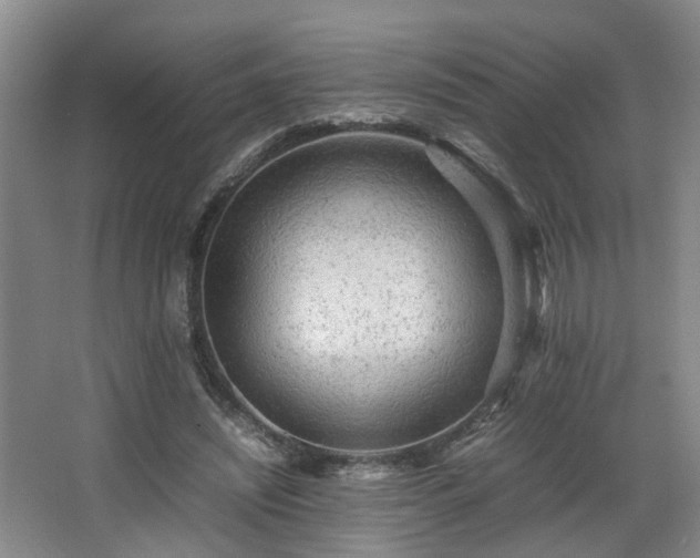 X0000066000444200603061327