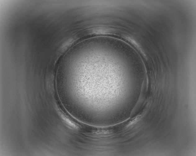 X0000066000445200603061327