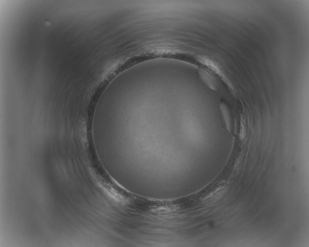 X0000066000447200603061328