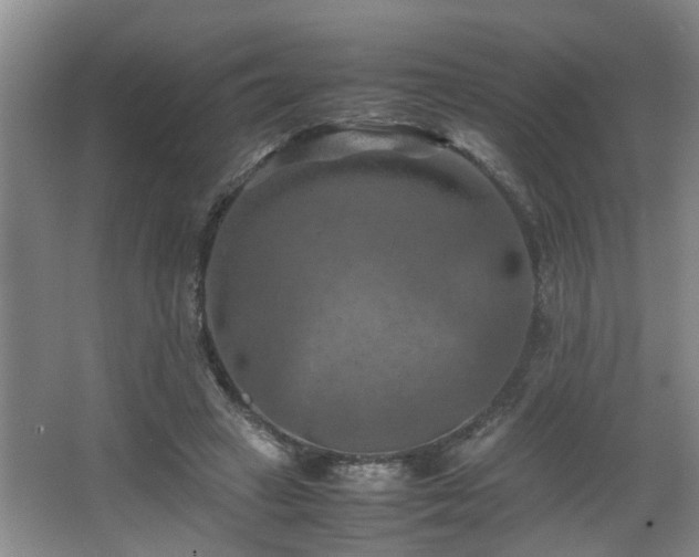 X0000066000449200603061328