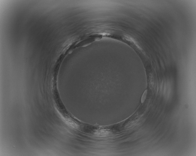 X0000066000451200603061328