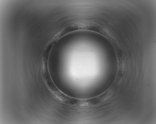 X0000066000456200603061328