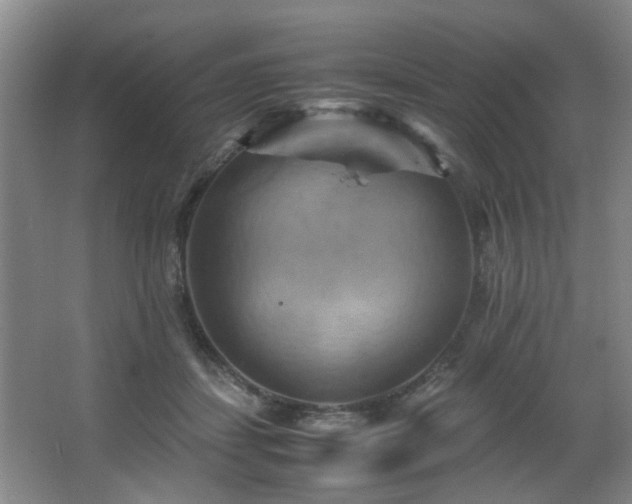 X0000066000459200603061328