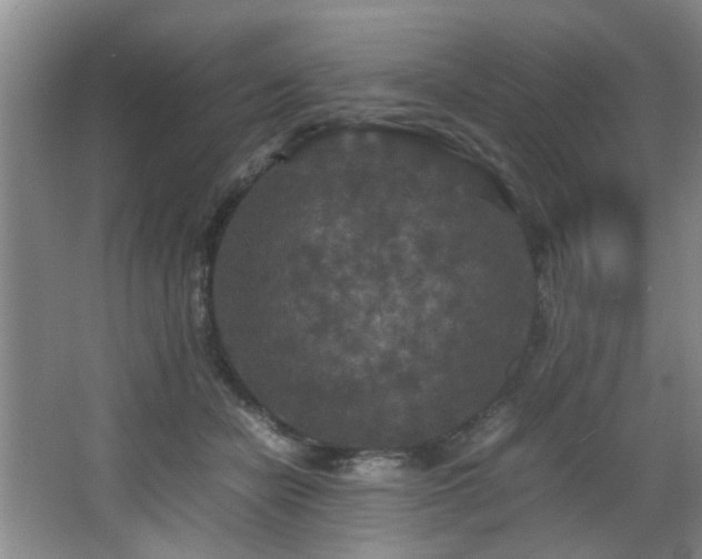 X0000066000462200603061328