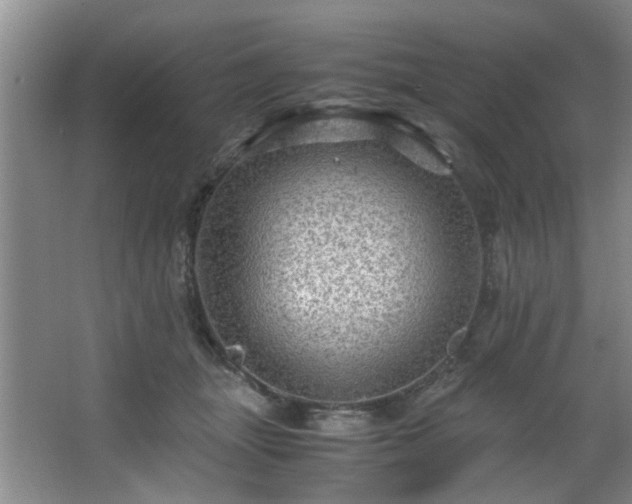 X0000066000463200603061328