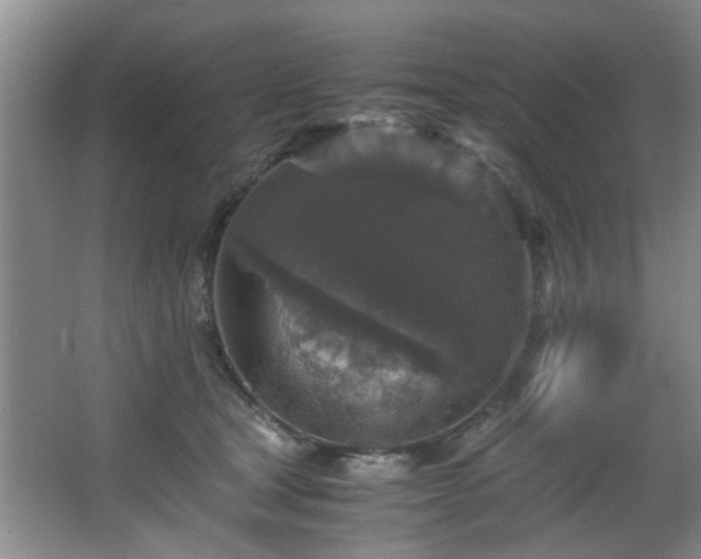 X0000066000465200603061328