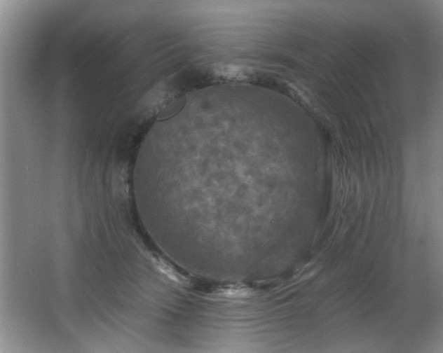 X0000066000466200603061328