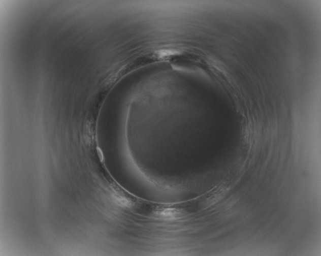 X0000066000467200603061328