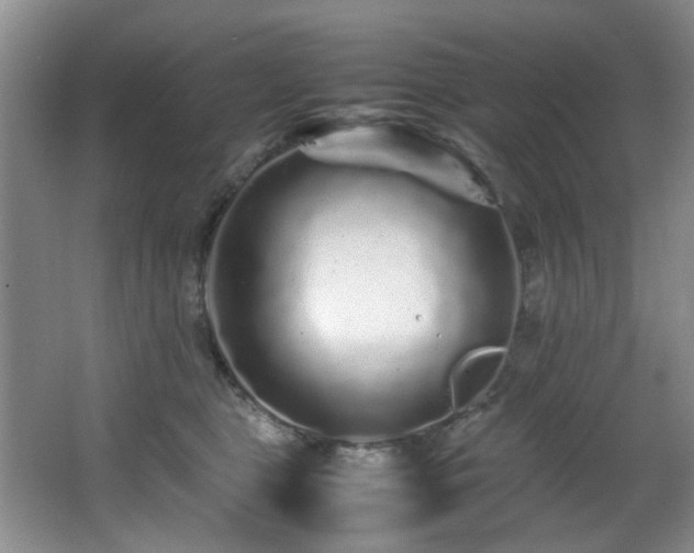 X0000066000469200603061328