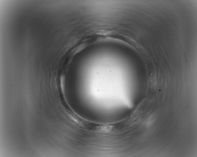 X0000066000474200603061328