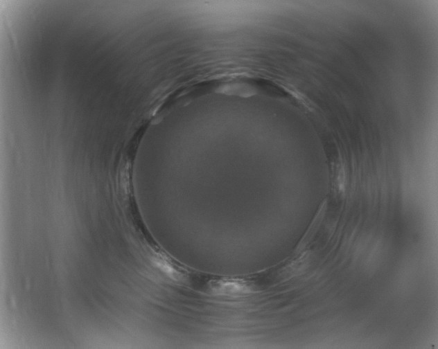 X0000066000475200603061328