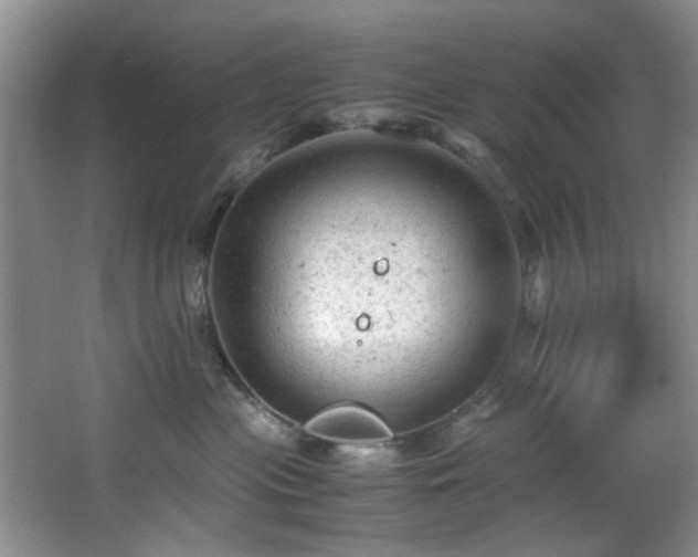 X0000066000477200603061328