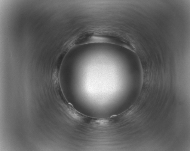 X0000066000478200603061328