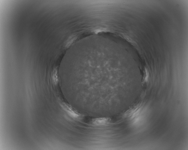 X0000066000479200603061328