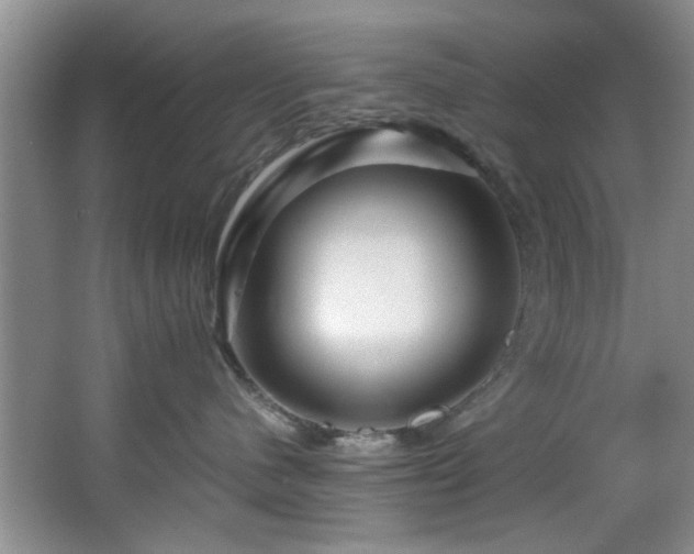 X0000066000480200603061328