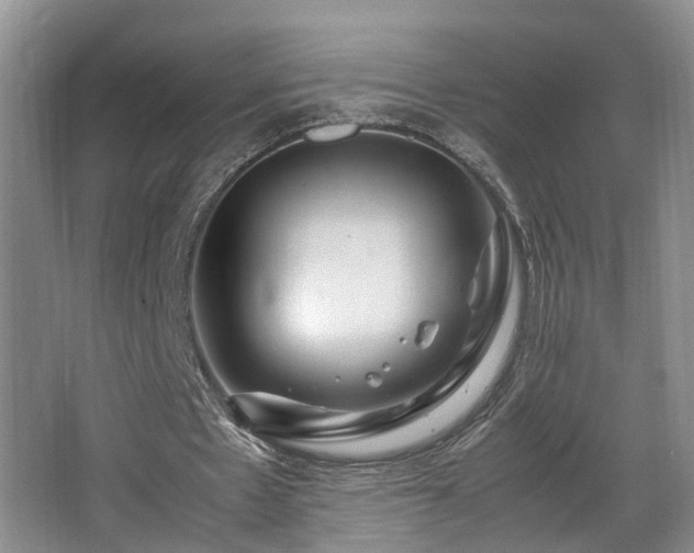 X0000066000481200603061327