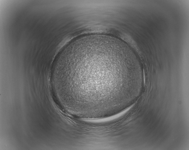 X0000066000483200603061327