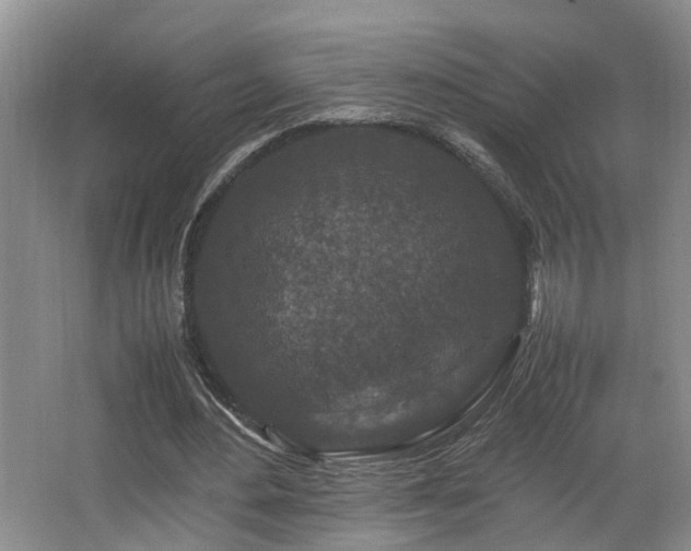 X0000066000484200603061327