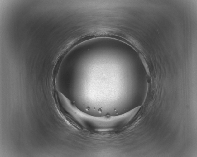 X0000066000485200603061327