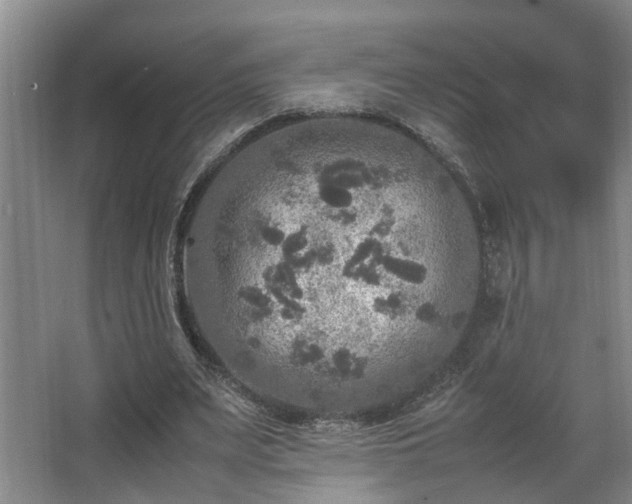 X0000066000487200603061327