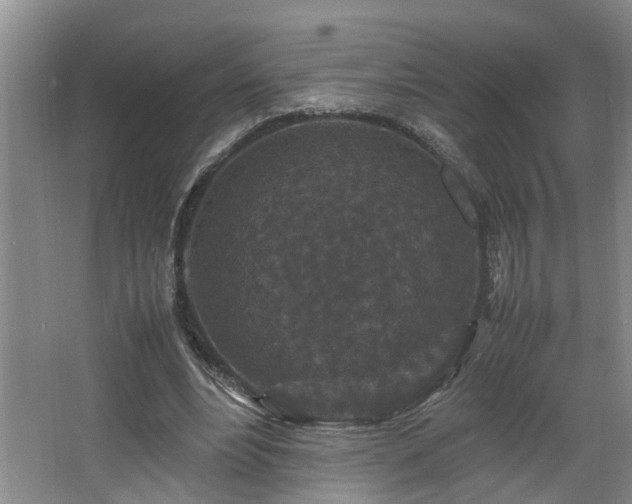 X0000066000488200603061327