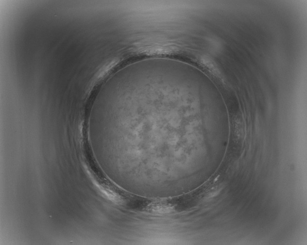 X0000066000491200603061327