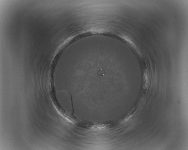 X0000066000492200603061327