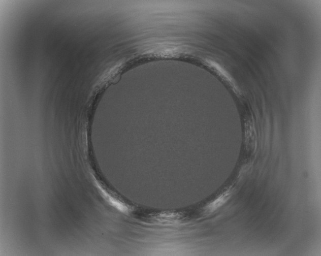 X0000066000493200603061327