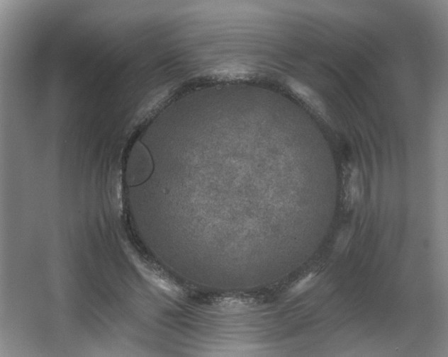 X0000066000494200603061327