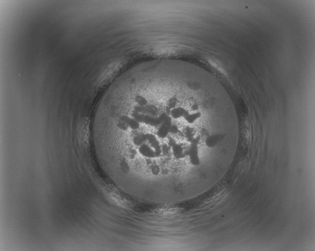 X0000066000495200603061327