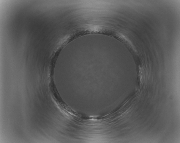 X0000066000496200603061327