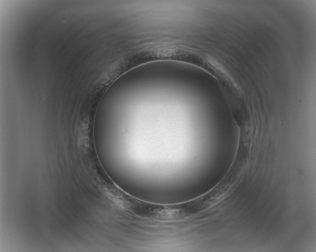 X0000066000497200603061327