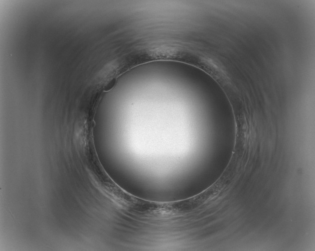 X0000066000498200603061327