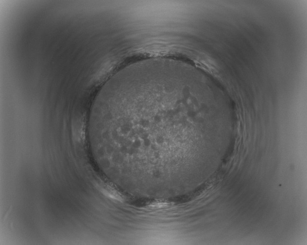 X0000066000499200603061327