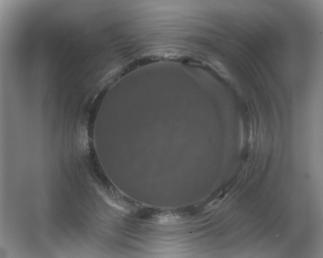 X0000066000500200603061327