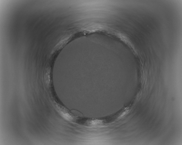 X0000066000501200603061327