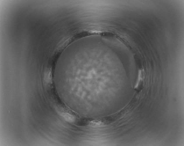 X0000066000502200603061327