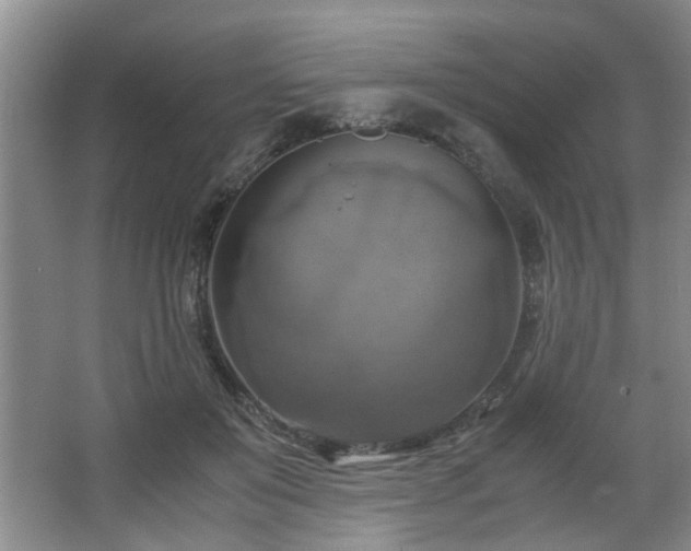 X0000066000503200603061327