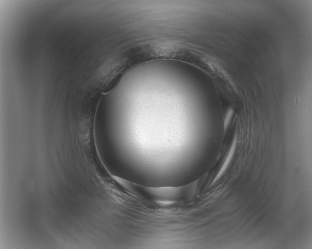 X0000066000505200603061327