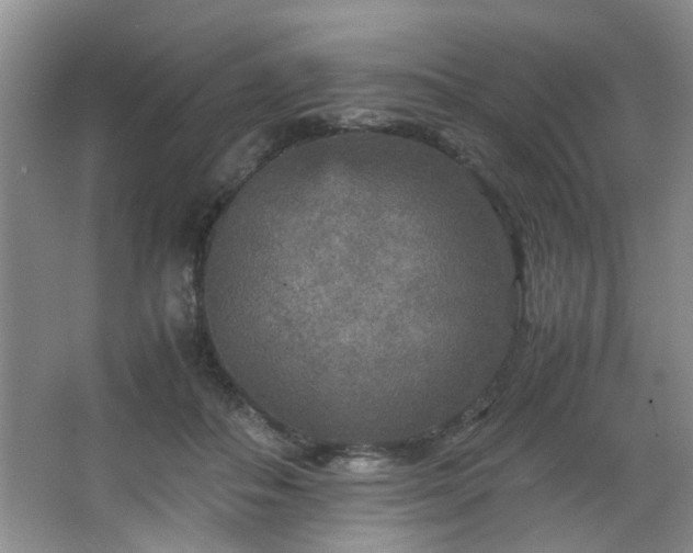 X0000066000506200603061327