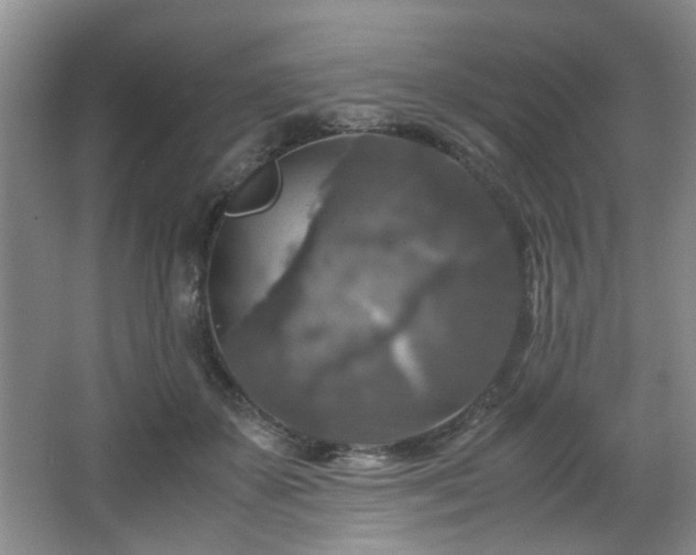 X0000066000507200603061327