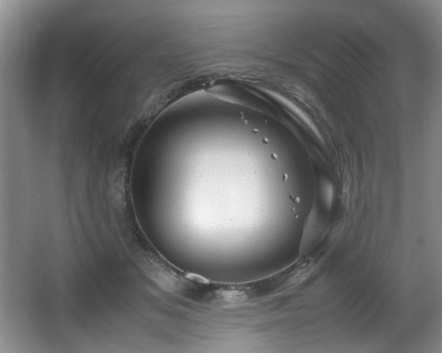 X0000066000509200603061327