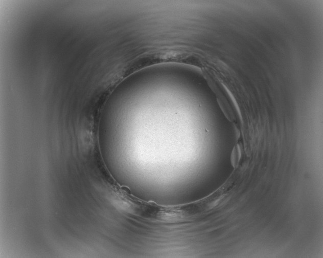 X0000066000510200603061327