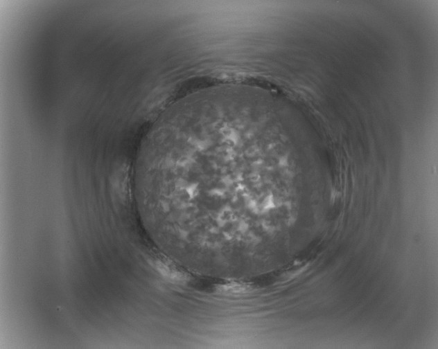 X0000066000511200603061327