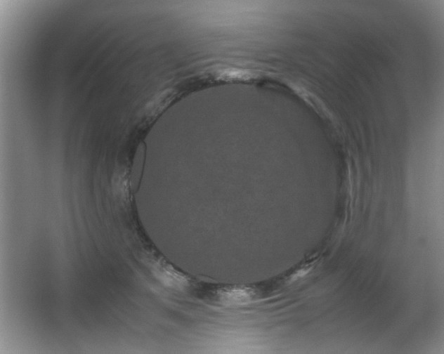 X0000066000513200603061327