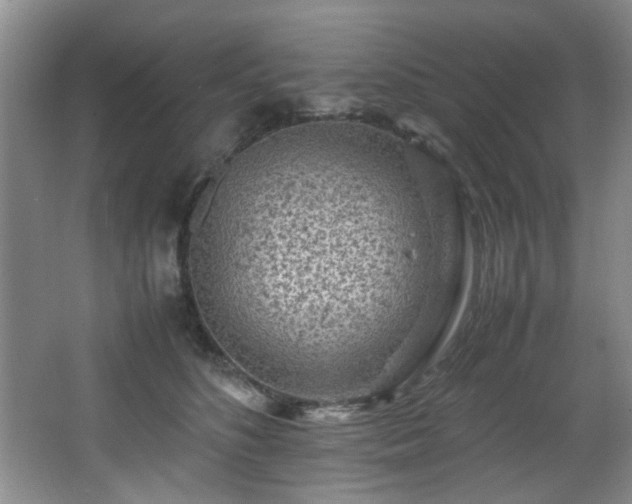 X0000066000516200603061327